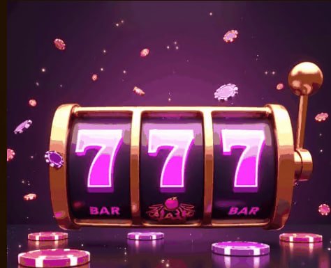 mocbai66